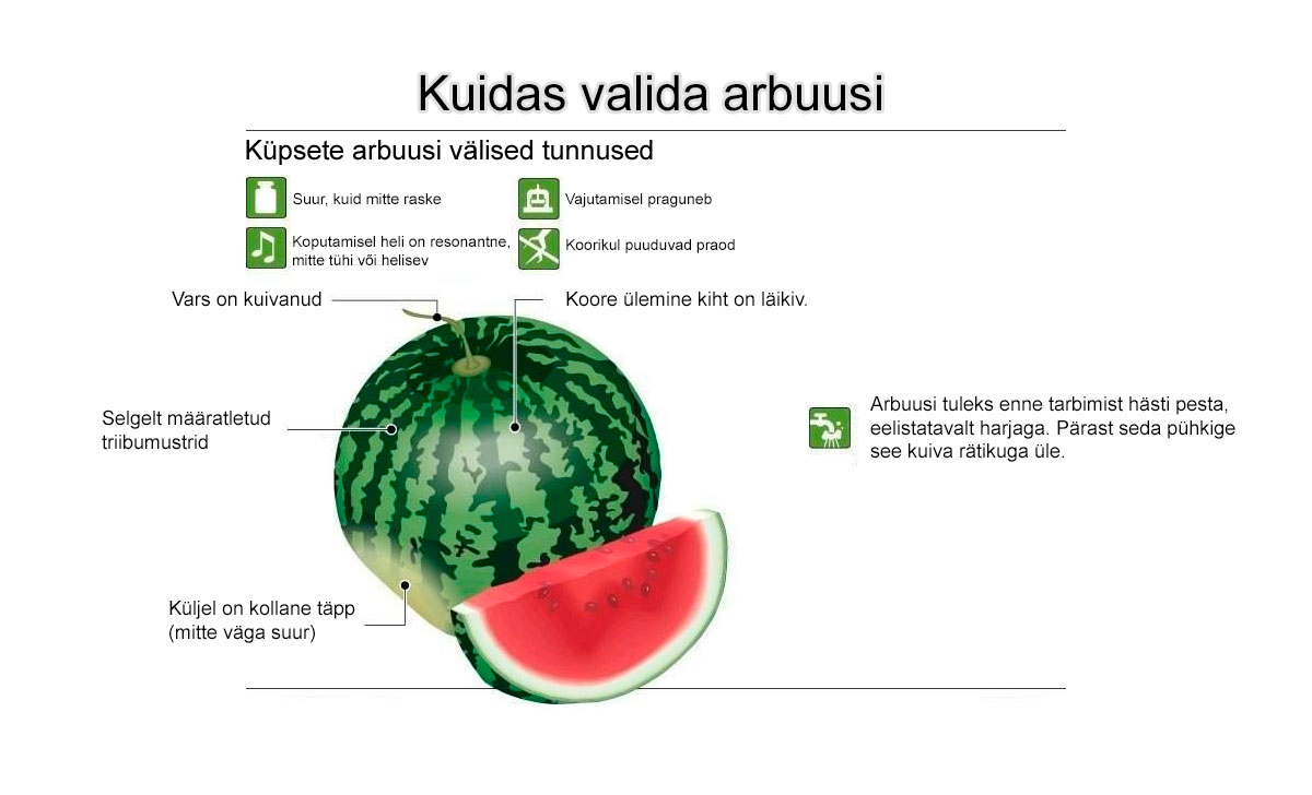 kuidas arbuusi valida