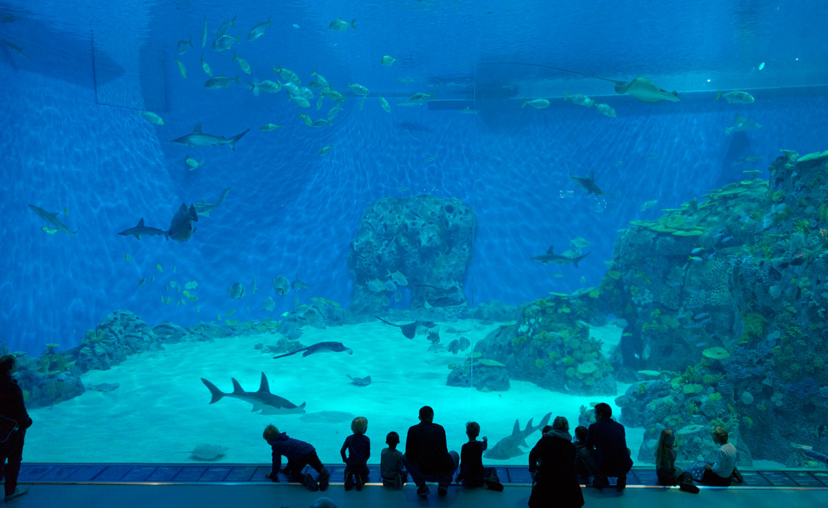 National Aquarium Denmark