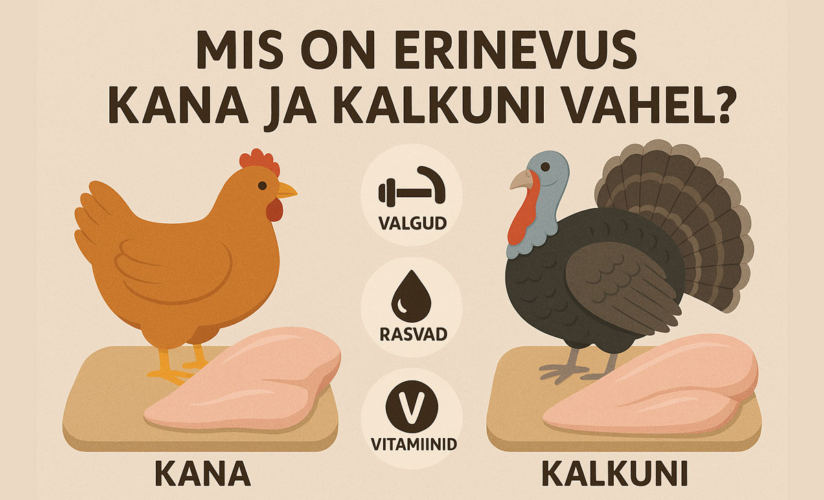 erinevus kalkuni ja kanaliha vahel