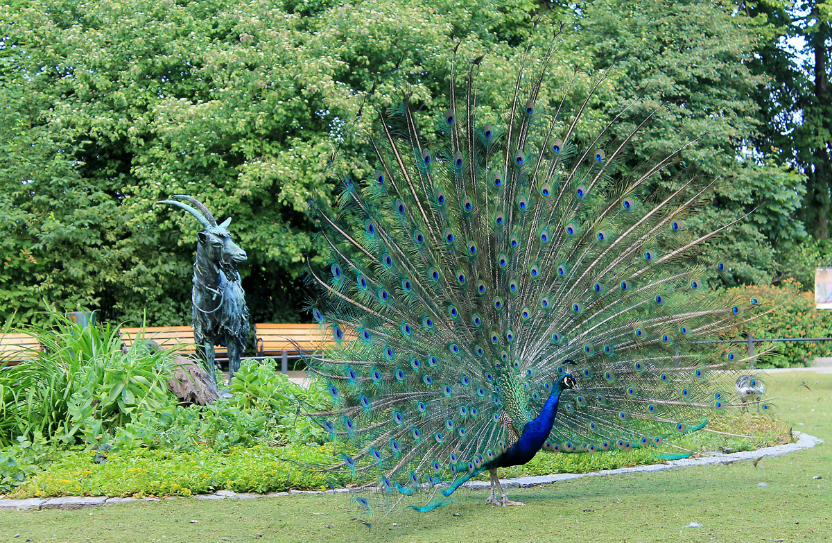 helsingi loomaaed