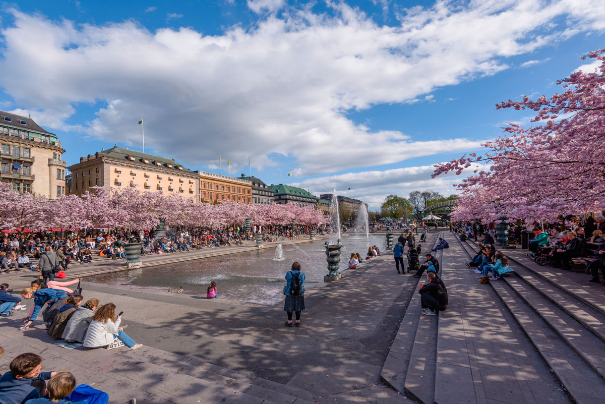 kuninga park stockholm