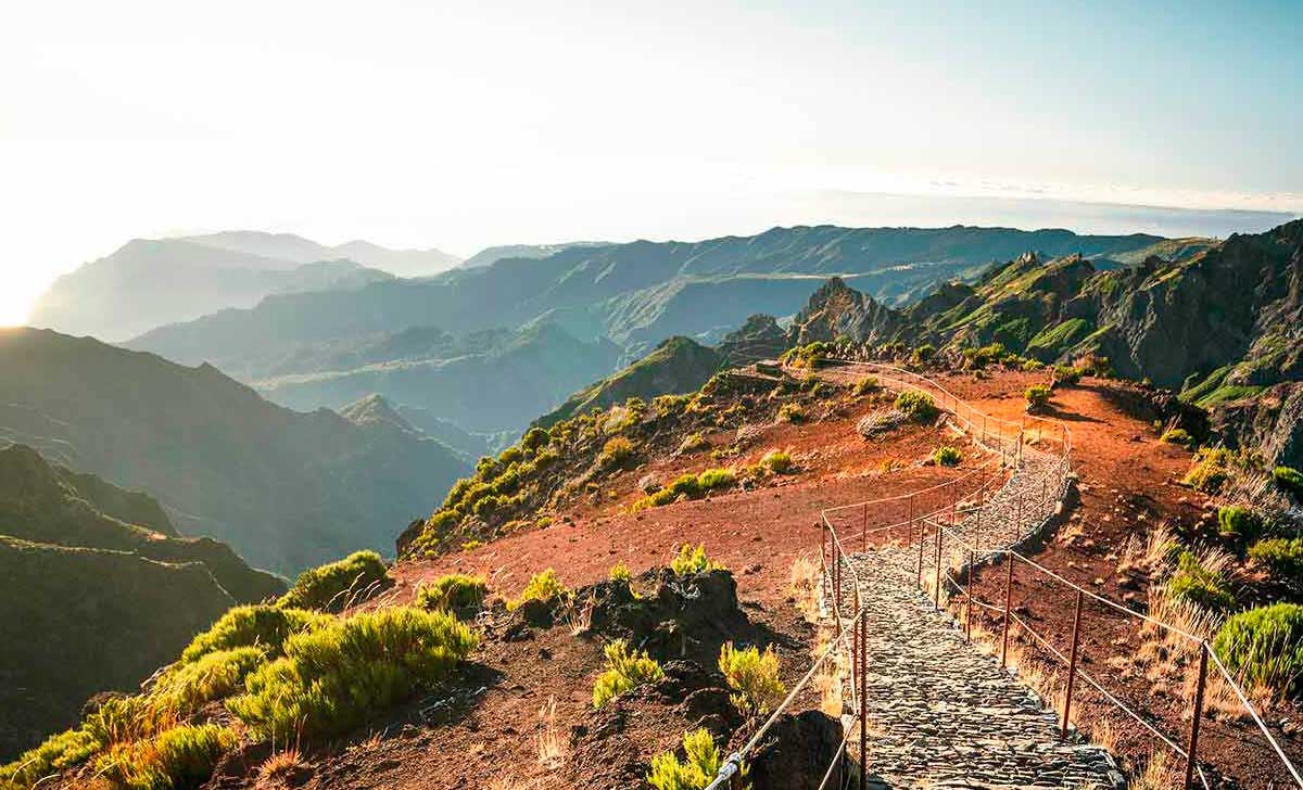 madeira pico ruivo