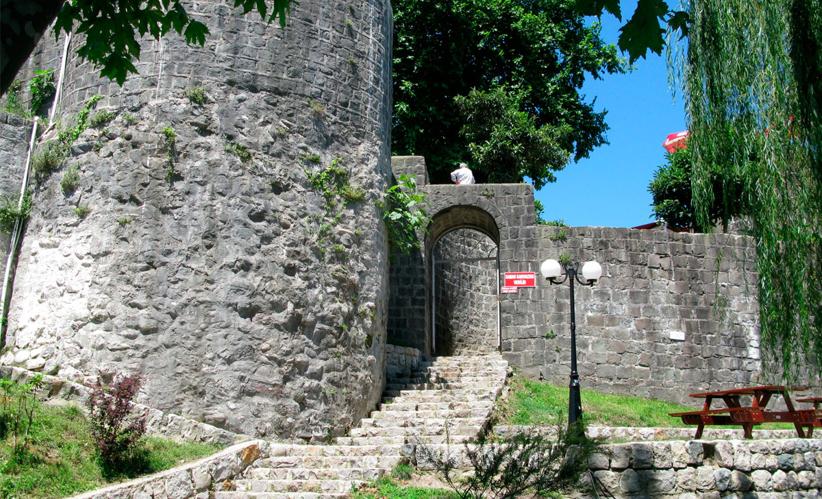 rize kindlus