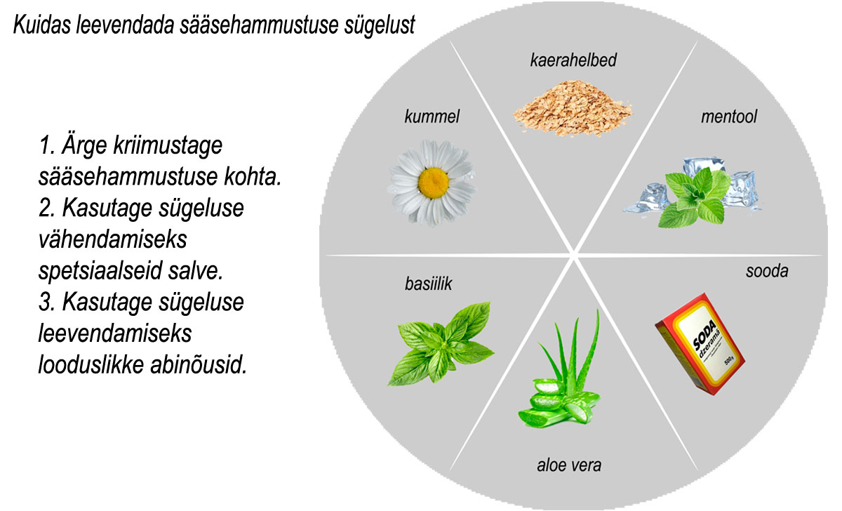 kuidas leevendada sääsehammustus