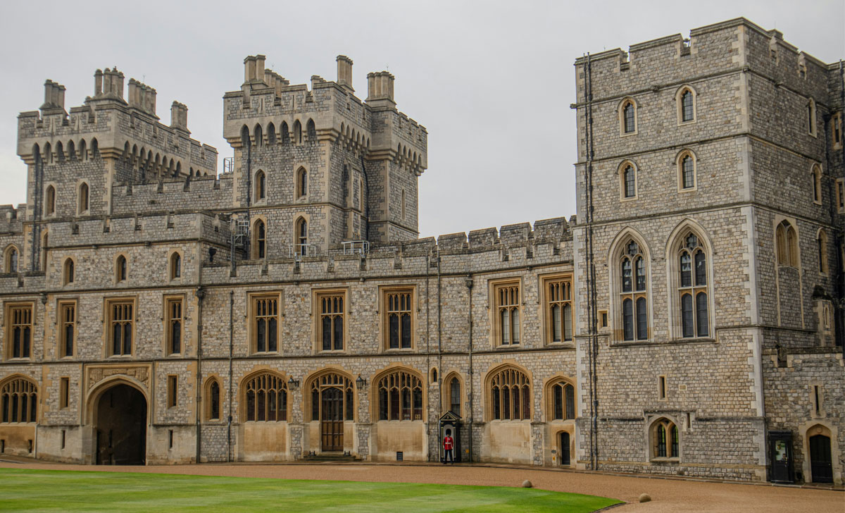 windsori loss